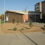 Picture 033