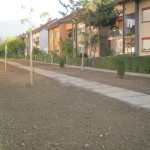 Picture 036