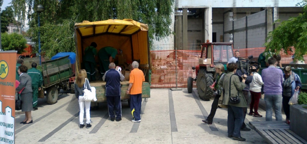Podela cvetnog rasada i semena trave